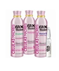 Células Madres Kit Maxybelt